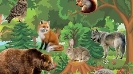 Картинки по запросу "тварини у лісі"